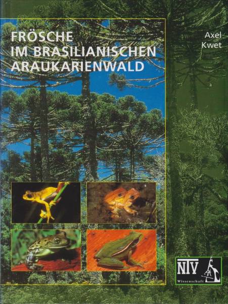 Frösche im brasilianischen Araukarienwald